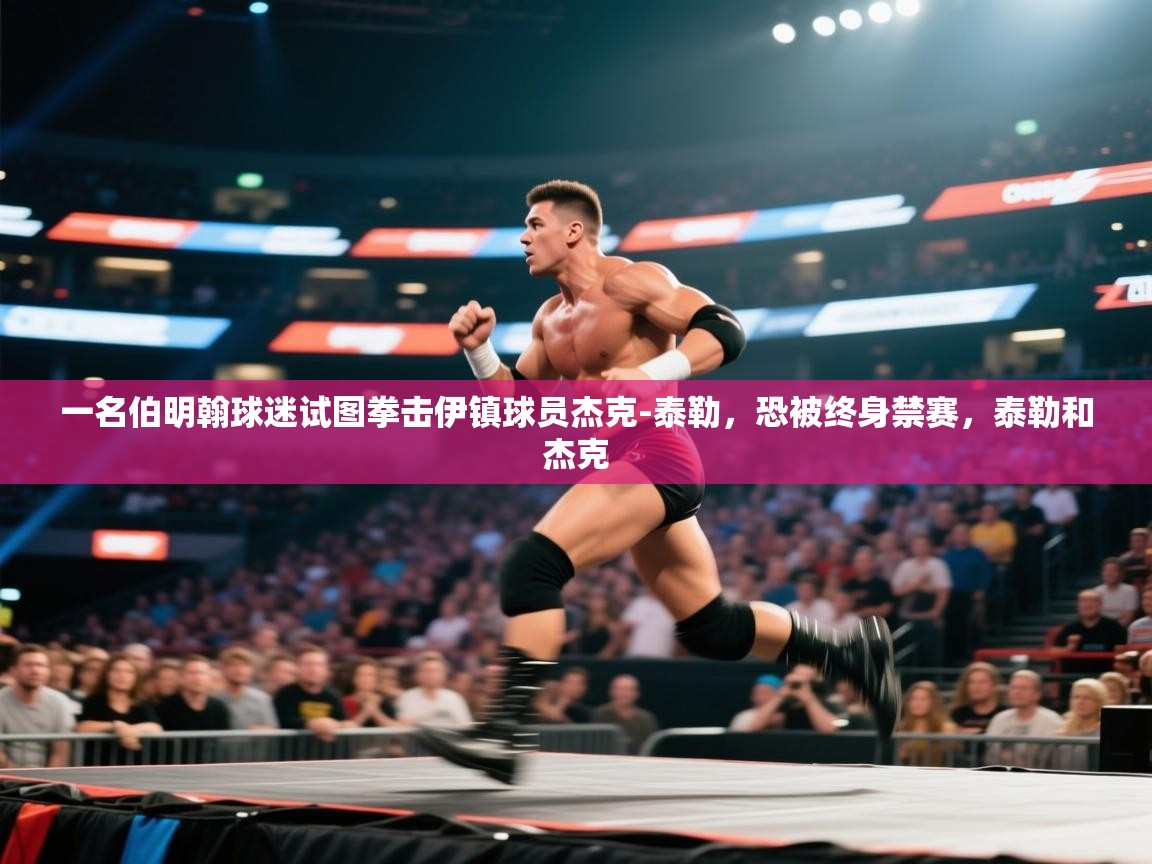 蓝鲸体育直播tv版-一名伯明翰球迷试图拳击伊镇球员杰克-泰勒，恐被终身禁赛，泰勒和杰克  第2张