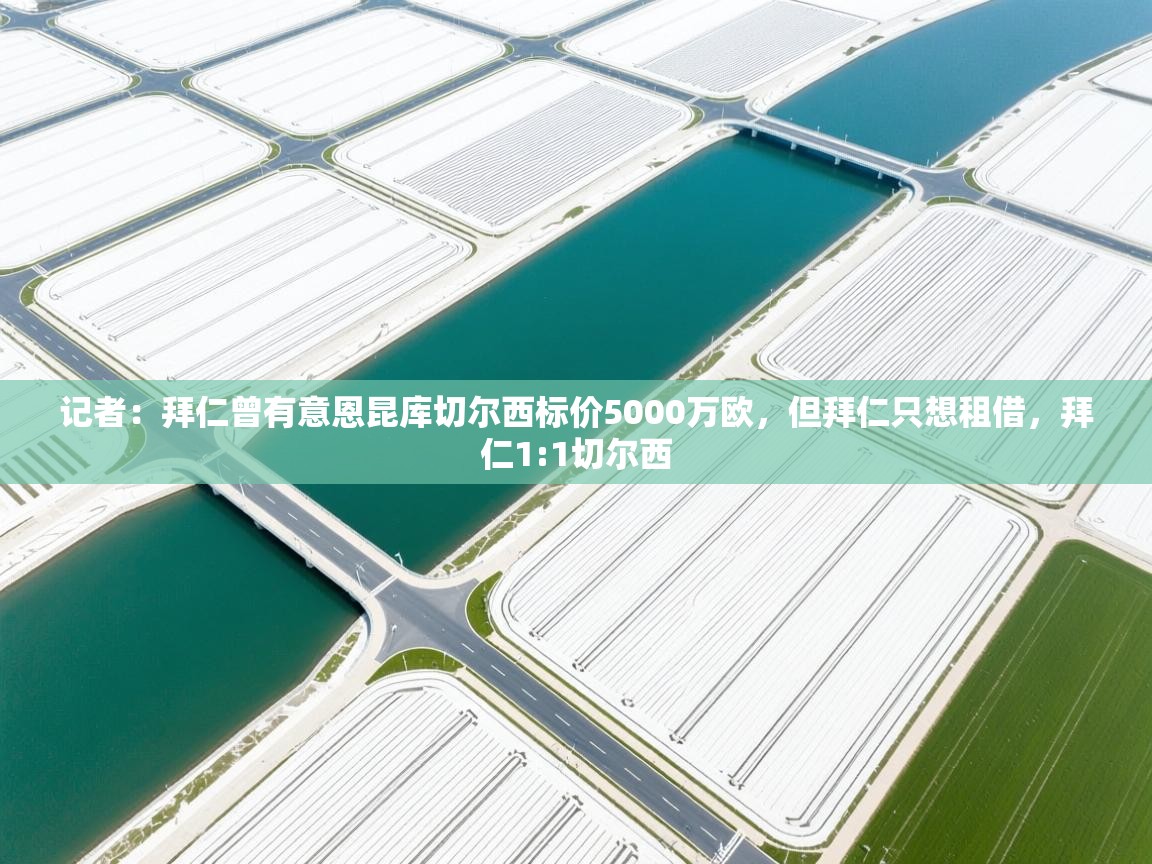 篮鲸体育入口-记者:拜仁曾有意恩昆库切尔西标价5000万欧,但拜仁只想租借,拜仁1:1切尔西 第3张