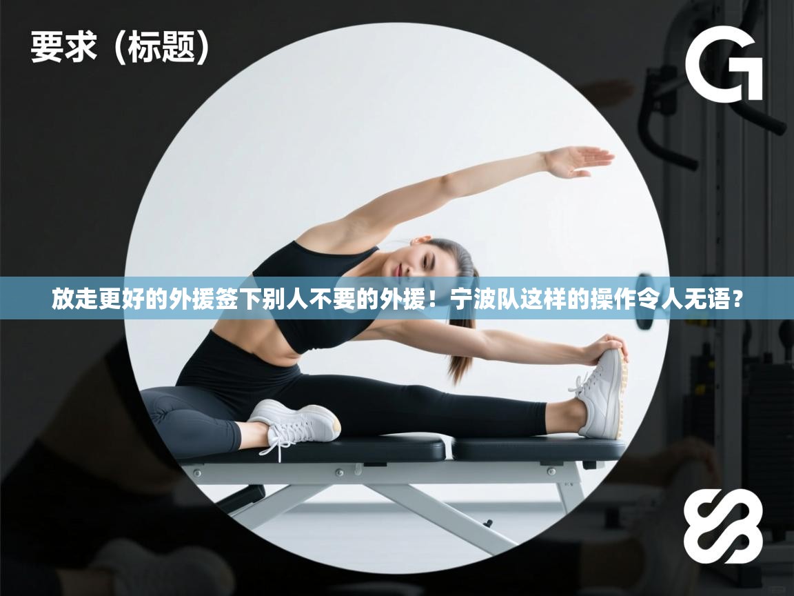 鲸蓝体育官网-放走更好的外援签下别人不要的外援!宁波队这样的操作令人无语? 第2张