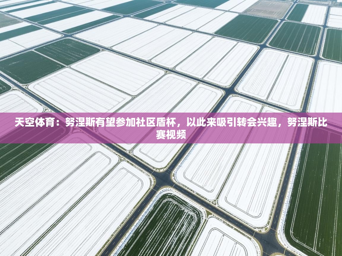 蓝鲸体育直播在线观看-天空体育：努涅斯有望参加社区盾杯，以此来吸引转会兴趣，努涅斯比赛视频  第3张