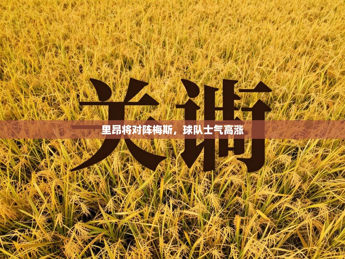 蓝鲸体育在线-里昂将对阵梅斯，球队士气高涨  第2张