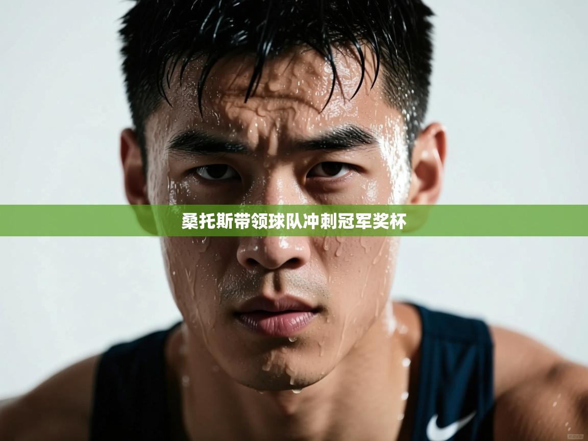 蓝鲸体育足球直播在线观看-桑托斯带领球队冲刺冠军奖杯  第2张