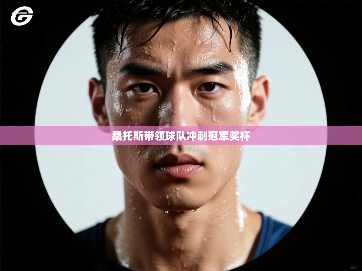 蓝鲸体育足球直播在线观看-桑托斯带领球队冲刺冠军奖杯  第3张