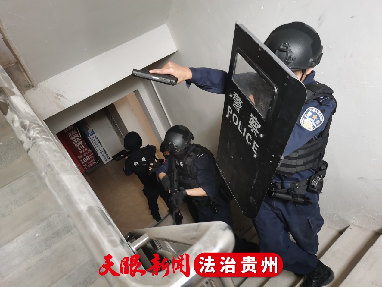 队伍重新调整战术，求改善表现的简单介绍