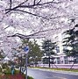 青岛黄海新秀崭露头角，展现出色发挥