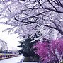 青岛黄海新秀崭露头角，展现出色发挥